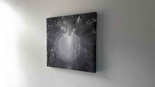 Hz Canvas Print